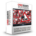 Cyber Security PLR Videos